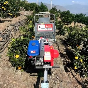 Monorail transport vehicle